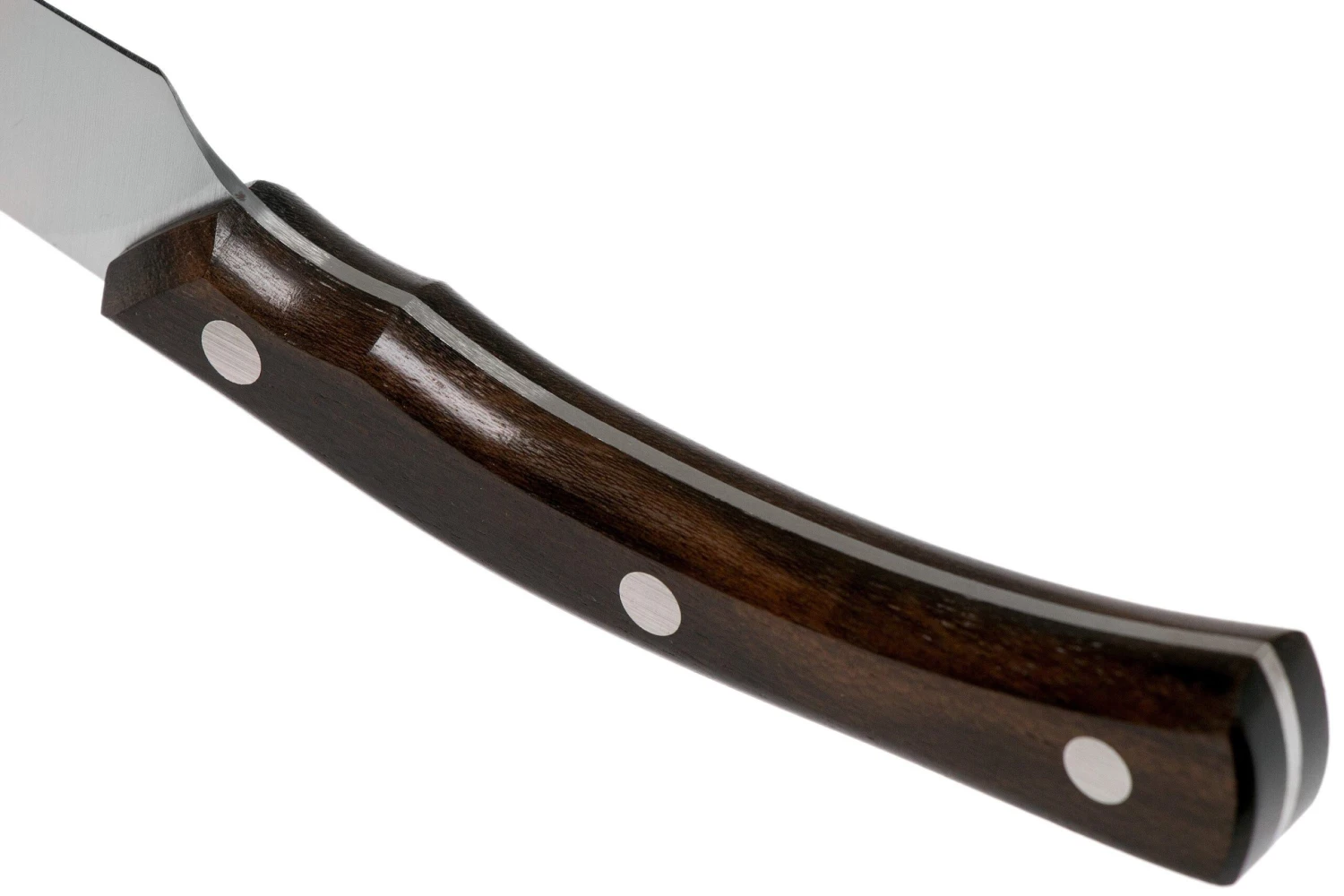 Due Cigni Arne Line Steakmesser 11 Cm, Ziricote 6 Due Cigni Arne Line Steakmesser 11 Cm, Ziricote – Bild 4