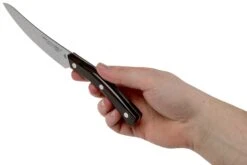 Due Cigni Arne Line Steakmesser 11 Cm, Ziricote 13 Due Cigni Arne Line Steakmesser 11 Cm, Ziricote -Victorinox Verkäufe DG2C900ZW 06 due cigni arne