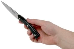 Due Cigni Arne Line Officemesser 10 Cm, Schwarz 13 Due Cigni Arne Line Officemesser 10 Cm, Schwarz -Victorinox Verkäufe DG2C901 06 due cigni arne