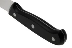 Eden Essentials Fleischmesser 20,5 Cm, 2000-120 -Victorinox Verkäufe EQ2000 120 04 eden