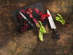 Zwilling Gourmet Officemesser 10 Cm, 36110-101 -Victorinox Verkäufe Gourmet3