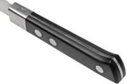 Maserin TEGI 2500-07PN Tourniermesser Schwarz, 7 Cm -Victorinox Verkäufe ME2500 07PN 04 maserin