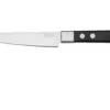 Maserin TEGI 2500-12PN Steakmesser Schwarz, 12 Cm -Victorinox Verkäufe ME2500 12PN 01 maserin