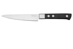 Maserin TEGI 2500-12PN Steakmesser Schwarz, 12 Cm