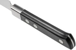 Maserin TEGI 2500-12PN Steakmesser Schwarz, 12 Cm 11 Maserin TEGI 2500-12PN Steakmesser Schwarz, 12 Cm -Victorinox Verkäufe ME2500 12PN 04 maserin