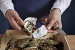 Opinel Austernmesser Nr. 09 15 Opinel Austernmesser Nr. 09 -Victorinox Verkäufe OP001616 07 opinel oestermes op001616 08