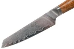 PUMA IP Paring Knife, 821203 Officemesser 10 Cm -Victorinox Verkäufe PU821203 03 puma