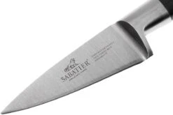 Lion Sabatier Idéal Officemesser 15 Cm, 710980 10 Lion Sabatier Idéal Officemesser 15 Cm, 710980 -Victorinox Verkäufe SA710980 03 lion sabatier ideal inox sa710980 03