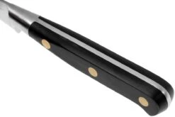 Lion Sabatier Idéal Officemesser 15 Cm, 710980 12 Lion Sabatier Idéal Officemesser 15 Cm, 710980 -Victorinox Verkäufe SA710980 05 lion sabatier ideal inox sa710980 05