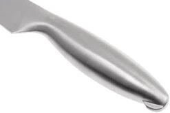 Lion Sabatier Fuso Fleischmesser 20 Cm, 747282 -Victorinox Verkäufe SA747282 04 lion sabatier fuso sa747282 04