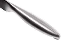 Lion Sabatier Fuso Fleischmesser 20 Cm, 747282 -Victorinox Verkäufe SA747282 05 lion sabatier fuso sa747282 05