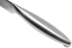 Lion Sabatier Fuso Steakmesserset 2-teilig, 747682 12 Lion Sabatier Fuso Steakmesserset 2-teilig, 747682 -Victorinox Verkäufe SA747682 05 lion sabatier fuso sa747682 05