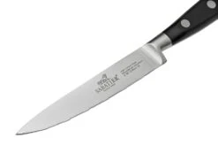 Lion Sabatier International Ysis 910284, 3-teiliges Messerset -Victorinox Verkäufe SA910280 05 lionsabatier