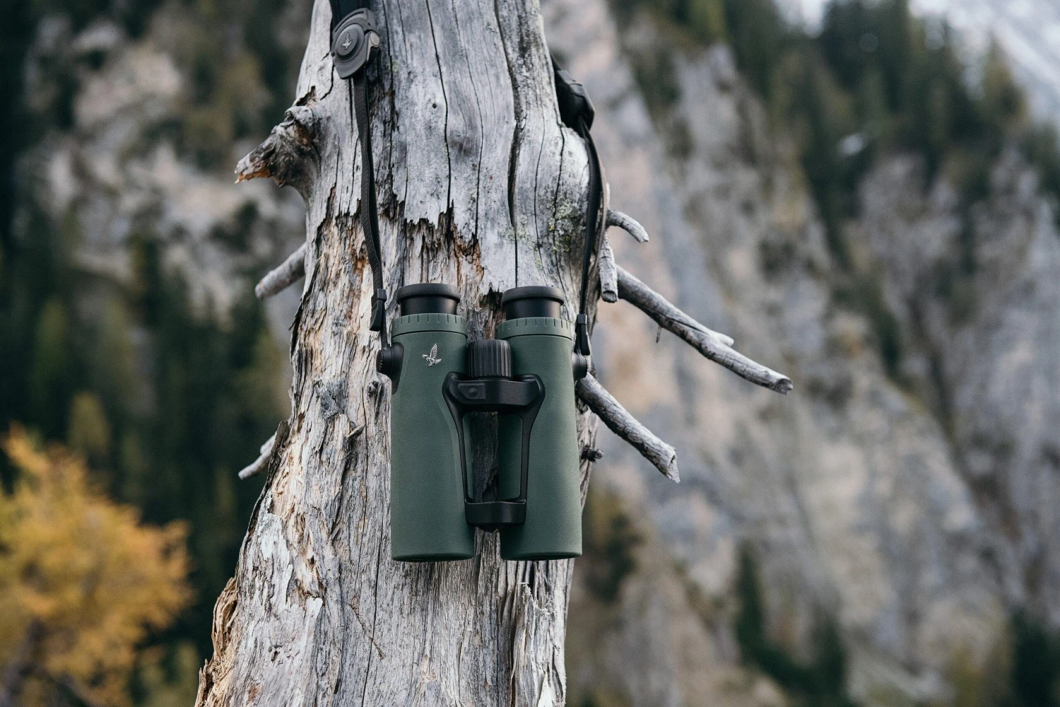 Swarovski EL Range 10x42 TA Fernglas MitTracking Asisstant 8 Swarovski EL Range 10x42 TA Fernglas MitTracking Asisstant – Bild 6