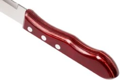 Tramontina Churrasco 6-teiliges Steakmesser-Set Jumbo, 29899-164 -Victorinox Verkäufe TC29899 164 04 tramontina churasso tc29899 164 04