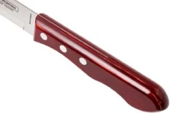 Tramontina Churrasco 6-teiliges Steakmesser-Set Jumbo, 29899-164 -Victorinox Verkäufe TC29899 164 05 tramontina churasso tc29899 164 05