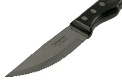 Tramontina Churrasco Jumbo 92000-003, 2-teiliges Steak-Besteck-Set -Victorinox Verkäufe TC92000 003 03 landhaus