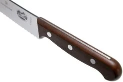 Victorinox Wood 5.2930.22G Brotmesser/Konditormesser 22 Cm, Ahorn -Victorinox Verkäufe VT5 2930 22G 05 victorinox