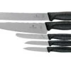 Victorinox SwissClassic 6.7133.5G Küchengarnitur, 5-teilig, Schwarz -Victorinox Verkäufe VT6 7133 5G 01 victorinox