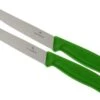 Victorinox SwissClassic Pizza-/Steakmesser Grün, 2 St., 6.7936.12L4B -Victorinox Verkäufe VT6 7936 12L4B 01 victorinox steakmes groen vt vt6 7936 12l4b 01