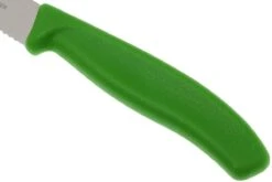 Victorinox SwissClassic Pizza-/Steakmesser Grün, 2 St., 6.7936.12L4B -Victorinox Verkäufe VT6 7936 12L4B 03 victorinox steakmes groen vt vt6 7936 12l4b 03