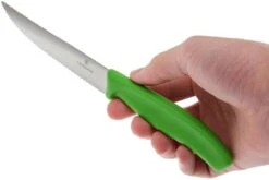 Victorinox SwissClassic Pizza-/Steakmesser Grün, 2 St., 6.7936.12L4B -Victorinox Verkäufe VT6 7936 12L4B 04 victorinox steakmes groen vt vt6 7936 12l4b 04