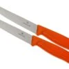 Victorinox SwissClassic Pizza-/Steakmesser Orange, 2 St., 6.7936.12L9B 2 Victorinox SwissClassic Pizza-/Steakmesser Orange, 2 St., 6.7936.12L9B -Victorinox Verkäufe VT6 7936 12L9B 01 victorinox steakmes oranje vt vt6 7936 12l9b 01