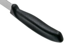 Victorinox SwissClassic 6.8633.21G Brotmesser Schwarz 21 Cm -Victorinox Verkäufe VT6 8633 21G 04 victorinox