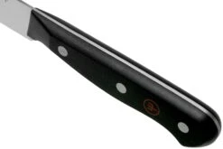 Wüsthof Gourmet Schinkenmesser 20 Cm, 1025048820 -Victorinox Verkäufe WU1025048820 05 wusthof v202102