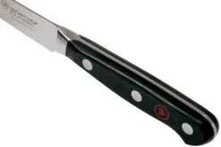 Wüsthof Classic Gemüsemesser 9 Cm, 1040130409 -Victorinox Verkäufe WU1040130409 05 wusthof classic v202009