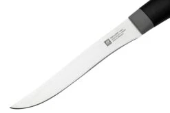 Zwilling Now S 1009656 Ausbeinmesser, 12cm -Victorinox Verkäufe ZW1009656 03 zwilling