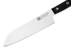 Zwilling Gourmet Messer-Set 2-teilig, 36130-002 -Victorinox Verkäufe ZW36130 002 0 03 zwilling