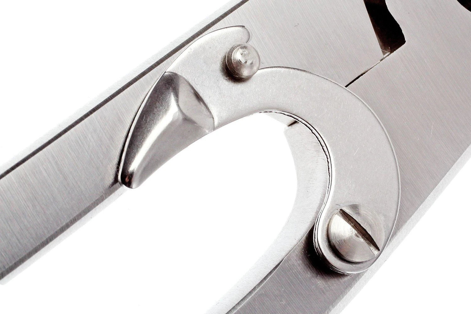 Zwilling J.A. Henckels - Geflügelschere 24 Cm 8 Zwilling J.A. Henckels - Geflügelschere 24 Cm – Bild 6